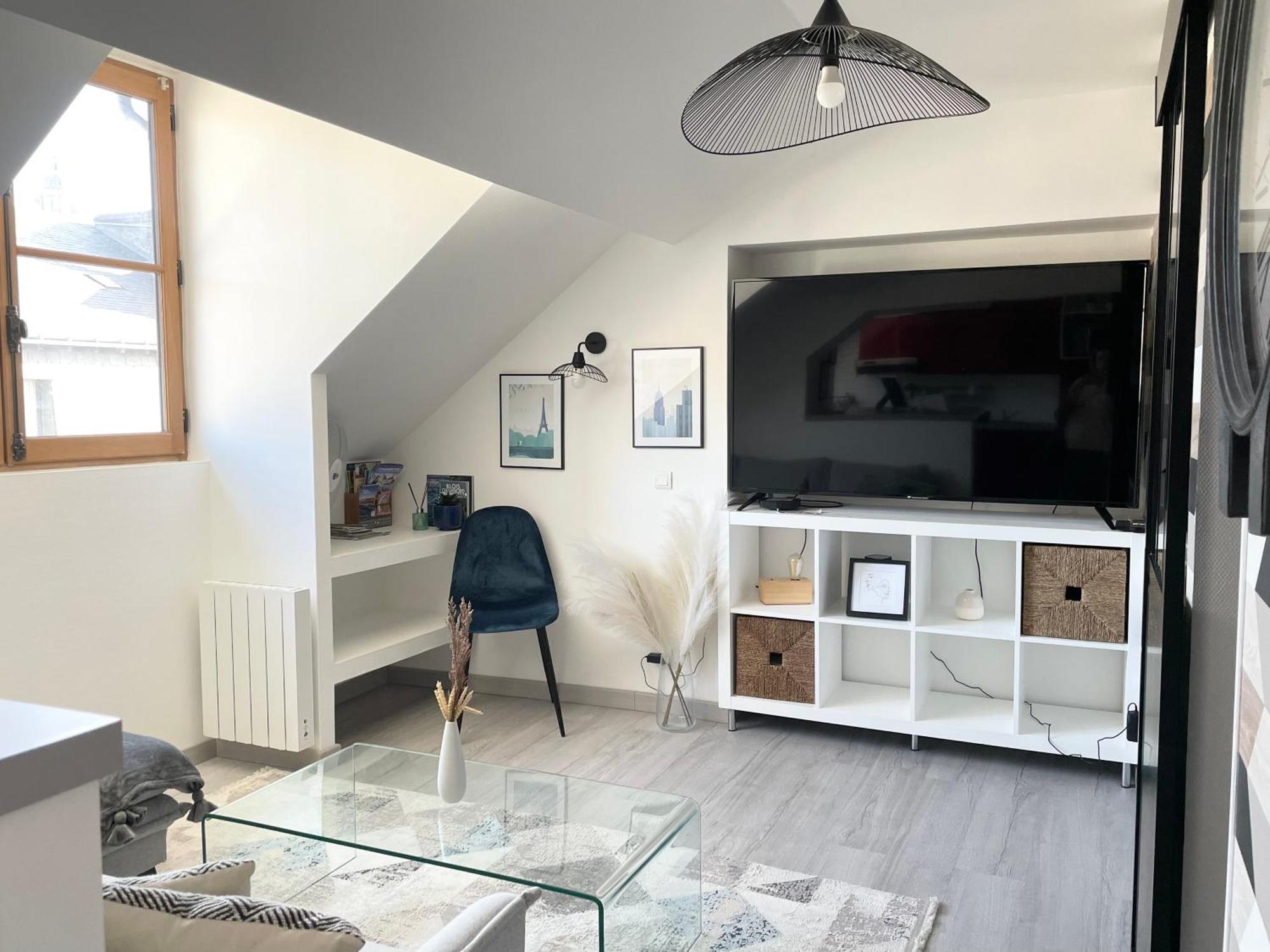 Magnifique Logement Au Pied Du Chateau Блуа Экстерьер фото